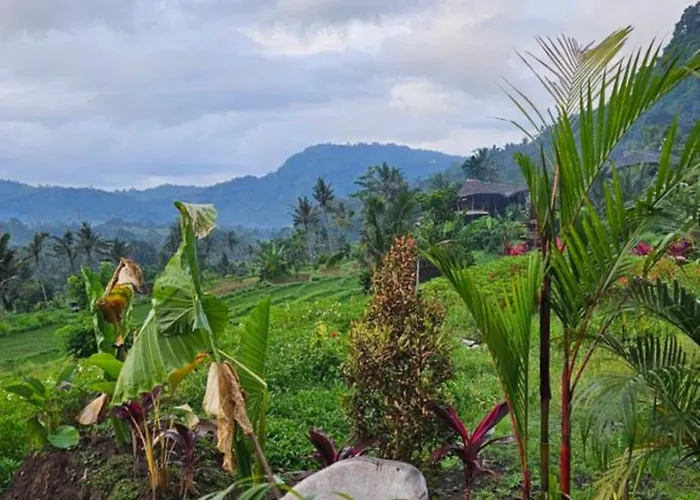 Satu Hati Pensión Sidemen (Bali)