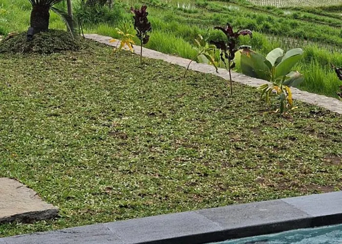 Satu Hati Pensión 4*